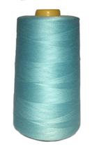 SIZE #100 (T-24) COLOR 6077 PT6077
