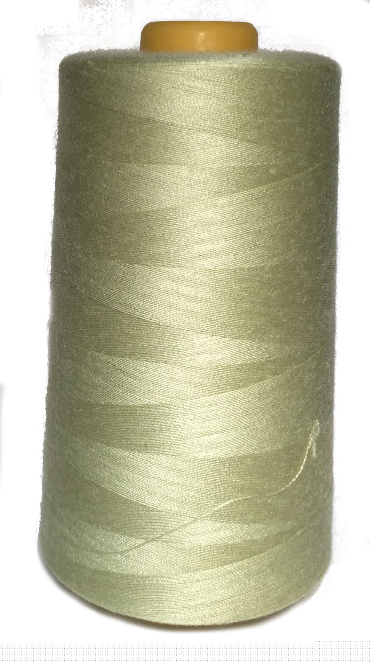 SIZE #100 (T-24) COLOR 615 PT615